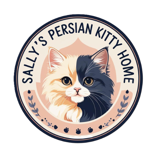 persian kitten